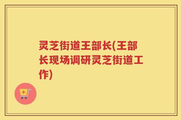 灵芝街道王部长(王部长现场调研灵芝街道工作)