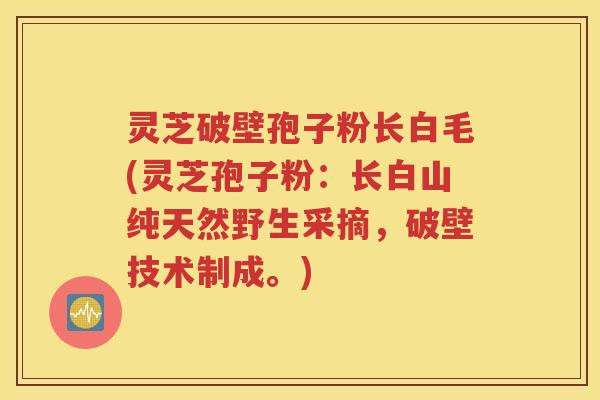 灵芝破壁孢子粉长白毛(灵芝孢子粉：长白山纯天然野生采摘，破壁技术制成。)