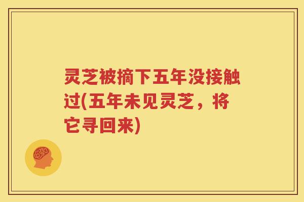 灵芝被摘下五年没接触过(五年未见灵芝,将它寻回来) 灵芝被摘下五年没接触过(五年未见灵芝,将它寻回来)