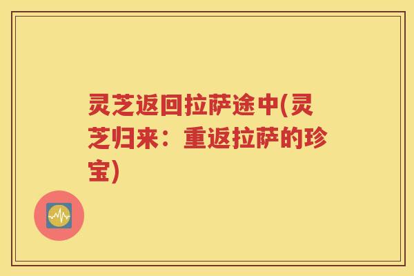 灵芝返回拉萨途中(灵芝归来：重返拉萨的珍宝)