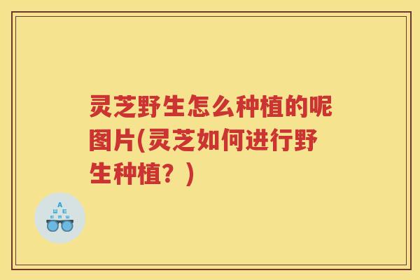 灵芝野生怎么种植的呢图片(灵芝如何进行野生种植？)
