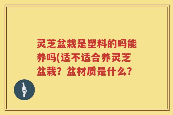 灵芝盆栽是塑料的吗能养吗(适不适合养灵芝盆栽？盆材质是什么？