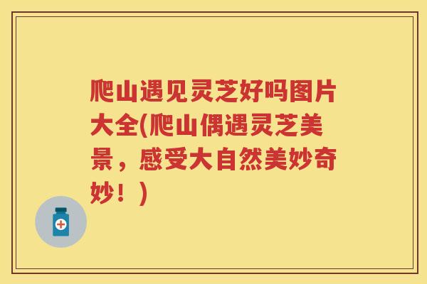 爬山遇见灵芝好吗图片大全(爬山偶遇灵芝美景，感受大自然美妙奇妙！)