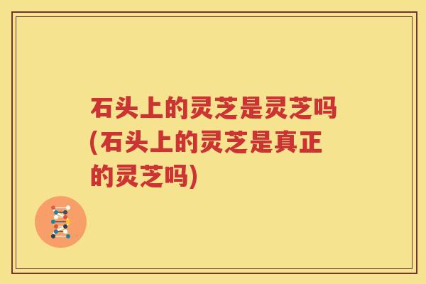 石头上的灵芝是灵芝吗(石头上的灵芝是真正的灵芝吗)