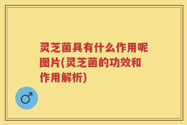 灵芝菌具有什么作用呢图片(灵芝菌的功效和作用解析)