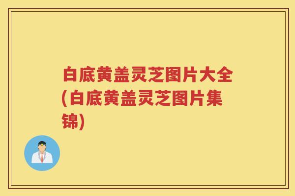 白底黄盖灵芝图片大全(白底黄盖灵芝图片集锦)