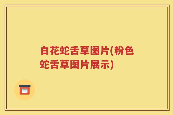 白花蛇舌草图片(粉色蛇舌草图片展示)
