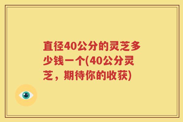 直径40公分的灵芝多少钱一个(40公分灵芝，期待你的收获)