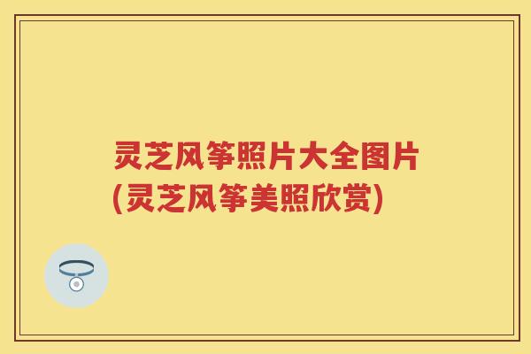 灵芝风筝照片大全图片(灵芝风筝美照欣赏)
