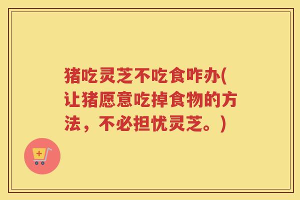 猪吃灵芝不吃食咋办(让猪愿意吃掉食物的方法，不必担忧灵芝。)