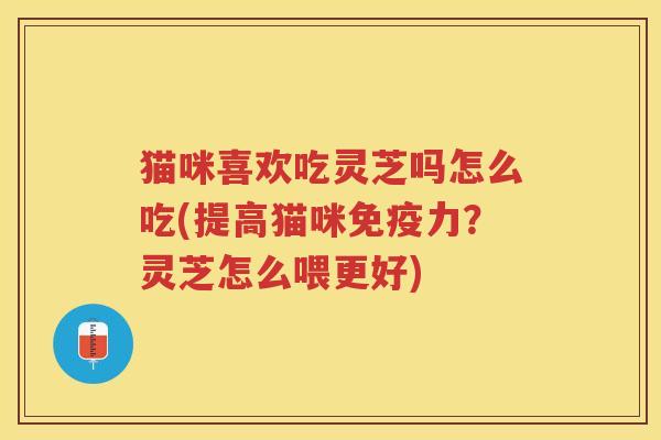 猫咪喜欢吃灵芝吗怎么吃(提高猫咪免疫力？灵芝怎么喂更好)