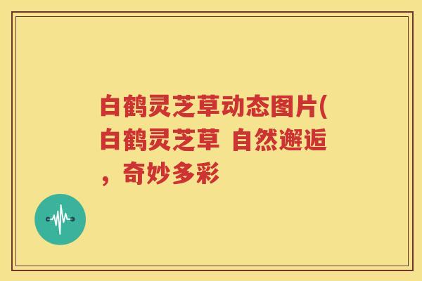 白鹤灵芝草动态图片(白鹤灵芝草 自然邂逅,奇妙多彩 白鹤灵芝草动态图片(白鹤灵芝草 自然邂逅,奇妙多彩