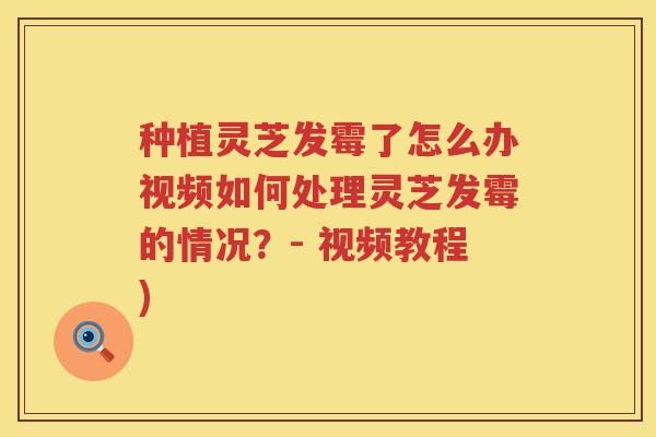 种植灵芝发霉了怎么办视频如何处理灵芝发霉的情况？- 视频教程)