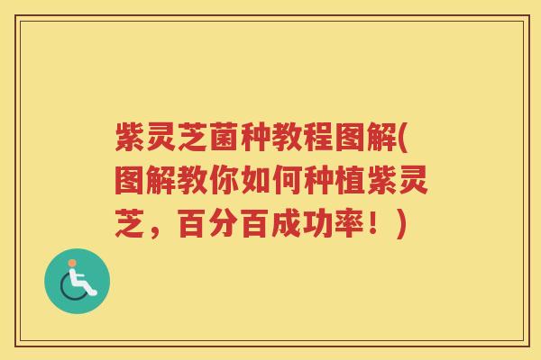 紫灵芝菌种教程图解(图解教你如何种植紫灵芝，百分百成功率！)