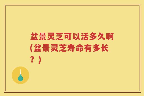 盆景灵芝可以活多久啊(盆景灵芝寿命有多长?) 盆景灵芝可以活多久啊(盆景灵芝寿命有多长?)