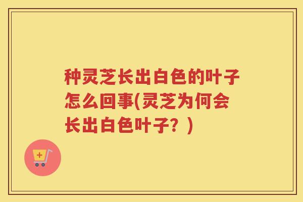 种灵芝长出白色的叶子怎么回事(灵芝为何会长出白色叶子？)