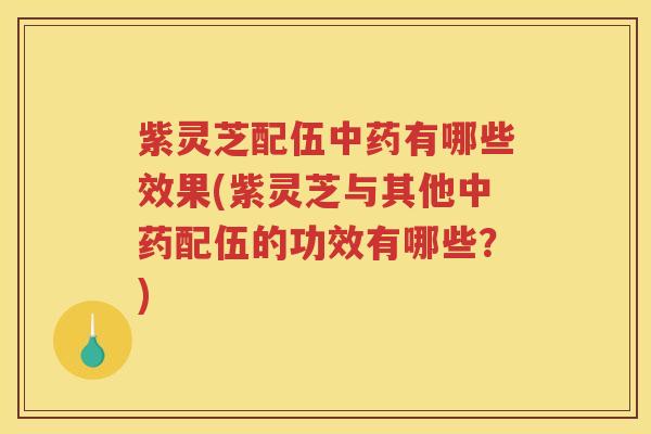 紫灵芝配伍中药有哪些效果(紫灵芝与其他中药配伍的功效有哪些？)
