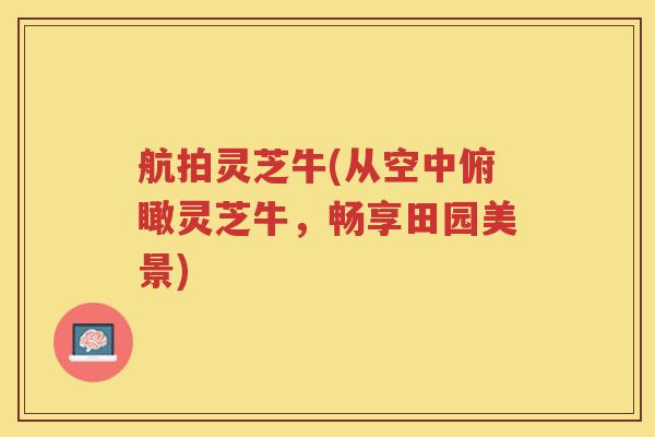 航拍灵芝牛(从空中俯瞰灵芝牛，畅享田园美景)