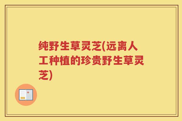 纯野生草灵芝(远离人工种植的珍贵野生草灵芝)