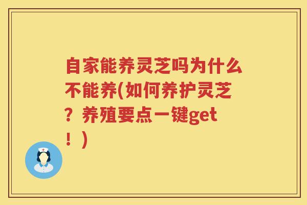 自家能养灵芝吗为什么不能养(如何养护灵芝？养殖要点一键get！)