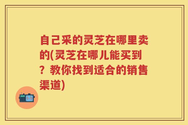 自己采的灵芝在哪里卖的(灵芝在哪儿能买到？教你找到适合的销售渠道)