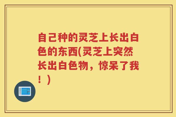 自己种的灵芝上长出白色的东西(灵芝上突然长出白色物，惊呆了我！)