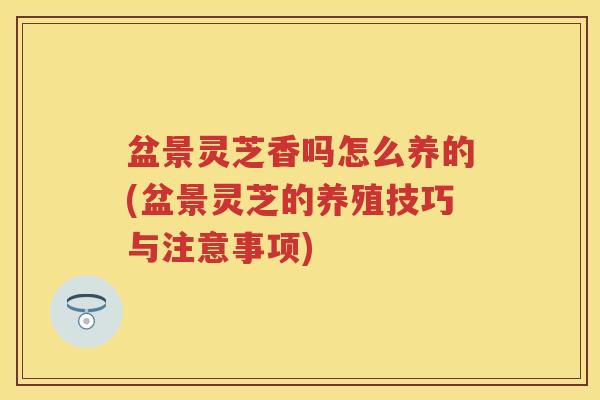 盆景灵芝香吗怎么养的(盆景灵芝的养殖技巧与注意事项)