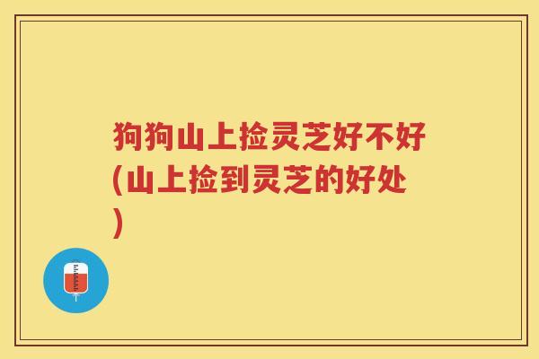 狗狗山上捡灵芝好不好(山上捡到灵芝的好处)