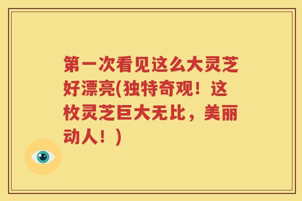 第一次看见这么大灵芝好漂亮(独特奇观！这枚灵芝巨大无比，美丽动人！)