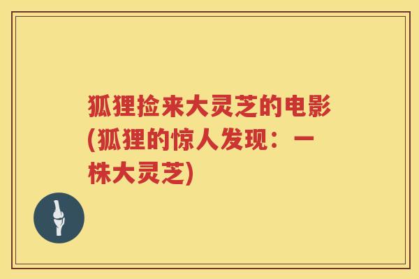 狐狸捡来大灵芝的电影(狐狸的惊人发现：一株大灵芝)