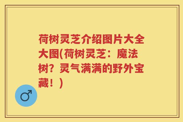 荷树灵芝介绍图片大全大图(荷树灵芝：魔法树？灵气满满的野外宝藏！)