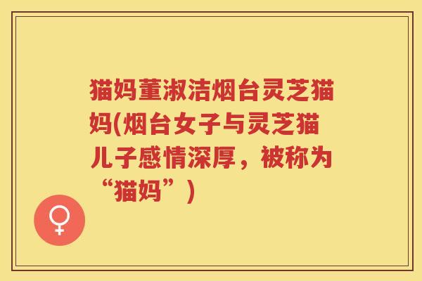 猫妈董淑洁烟台灵芝猫妈(烟台女子与灵芝猫儿子感情深厚,被称为“猫妈”) 猫妈董淑洁烟台灵芝猫妈(烟台女子与灵芝猫儿子感情深厚,被称为“猫妈”)