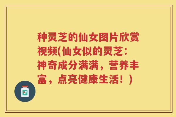种灵芝的仙女图片欣赏视频(仙女似的灵芝：神奇成分满满，营养丰富，点亮健康生活！)