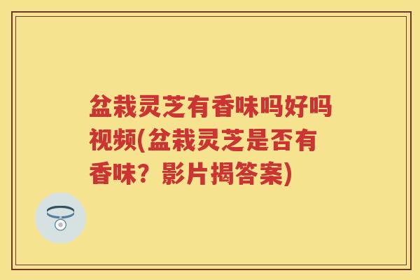 盆栽灵芝有香味吗好吗视频(盆栽灵芝是否有香味？影片揭答案)