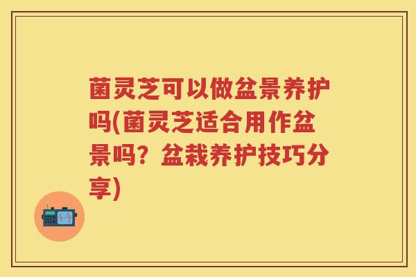 菌灵芝可以做盆景养护吗(菌灵芝适合用作盆景吗?盆栽养护技巧分享) 菌灵芝可以做盆景养护吗(菌灵芝适合用作盆景吗?盆栽养护技巧分享)