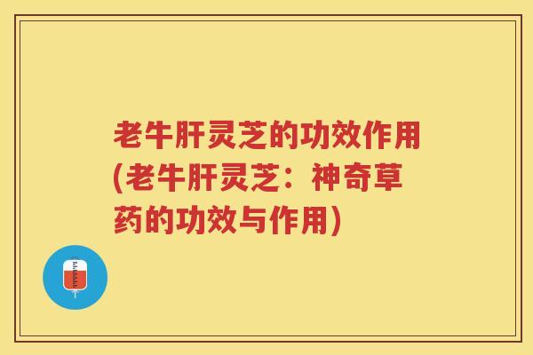 老牛肝灵芝的功效作用(老牛肝灵芝：神奇草药的功效与作用)