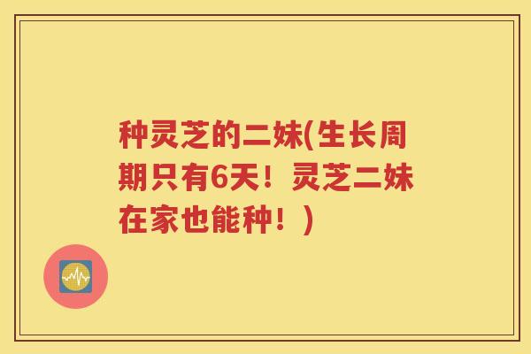 种灵芝的二妹(生长周期只有6天！灵芝二妹在家也能种！)