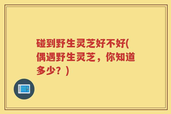 碰到野生灵芝好不好(偶遇野生灵芝，你知道多少？)