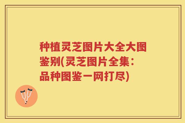 种植灵芝图片大全大图鉴别(灵芝图片全集：品种图鉴一网打尽)