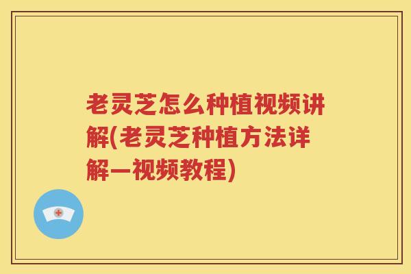老灵芝怎么种植视频讲解(老灵芝种植方法详解—视频教程)