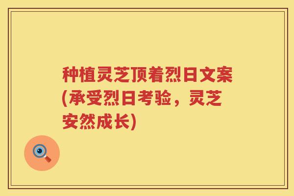 种植灵芝顶着烈日文案(承受烈日考验，灵芝安然成长)