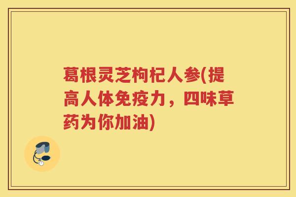 葛根灵芝枸杞人参(提高人体免疫力，四味草药为你加油)
