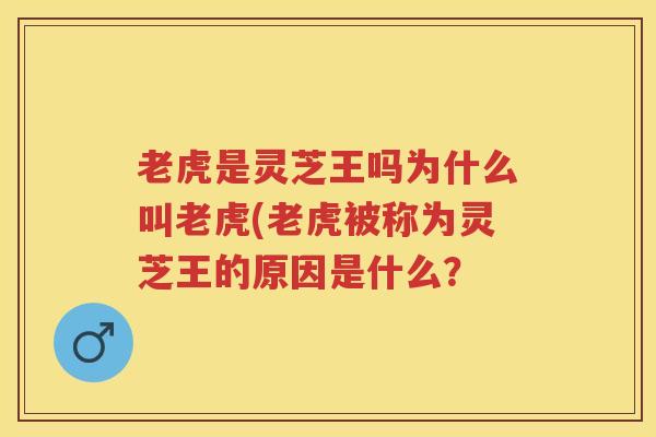 老虎是灵芝王吗为什么叫老虎(老虎被称为灵芝王的原因是什么？