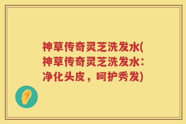 神草传奇灵芝洗发水(神草传奇灵芝洗发水：净化头皮，呵护秀发)