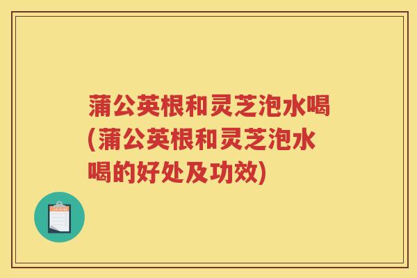 蒲公英根和灵芝泡水喝(蒲公英根和灵芝泡水喝的好处及功效)