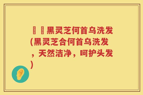 荳渼黑灵芝何首乌洗发(黑灵芝合何首乌洗发，天然洁净，呵护头发)