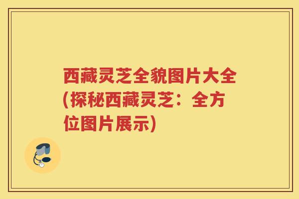 西藏灵芝全貌图片大全(探秘西藏灵芝:全方位图片展示) 西藏灵芝全貌图片大全(探秘西藏灵芝:全方位图片展示)
