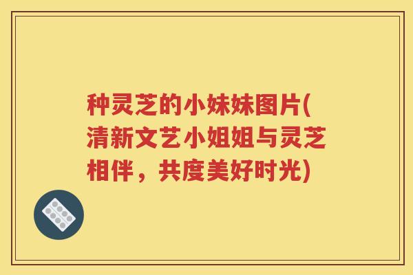 种灵芝的小妹妹图片(清新文艺小姐姐与灵芝相伴,共度美好时光) 种灵芝的小妹妹图片(清新文艺小姐姐与灵芝相伴,共度美好时光)