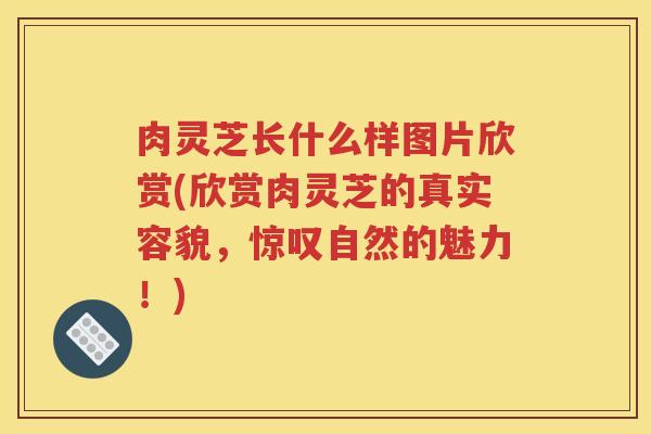 肉灵芝长什么样图片欣赏(欣赏肉灵芝的真实容貌，惊叹自然的魅力！)
