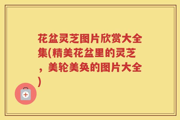 花盆灵芝图片欣赏大全集(精美花盆里的灵芝,美轮美奂的图片大全) 花盆灵芝图片欣赏大全集(精美花盆里的灵芝,美轮美奂的图片大全)